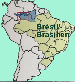 Brasilienkarte