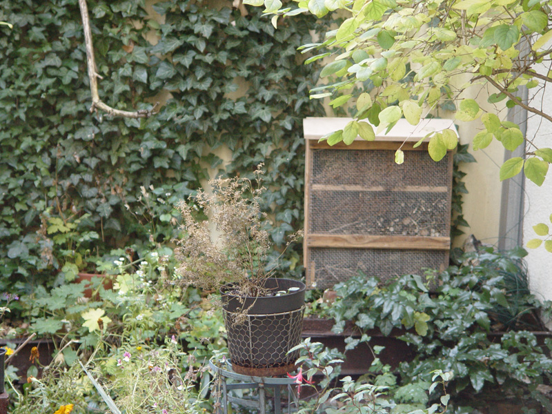 Hôtel pour insectes dans notre jardin