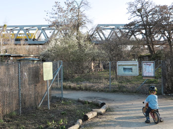 Jardins familiaux au park du Gleisdreieck, au-dessus passe le métro