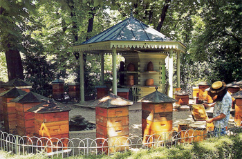 Die Bienenstöcke im Pariser Jardin du Luxembourg. 