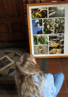 Ausstellungstafel mit Obst aus Amazonien