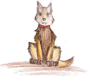 Hunde im Krieg - Wenn Tiere helfen und Leben retten - Wie funktioniert es ohne Internet und ohne Autos Hunde im Krieg