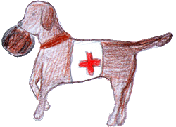 Hunde im Krieg - Wenn Tiere helfen und Leben retten - Wie funktioniert es ohne Internet und ohne Autos Hunde im Krieg