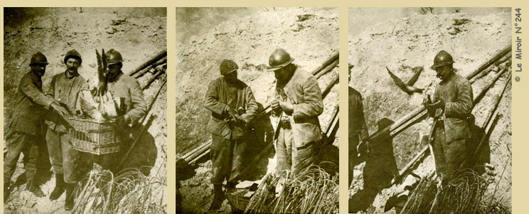 Twittern im Krieg - Wie funktioniert es ohne Internet - wenn Tiere helfen und Leben retten Soldaten und Brieftauben