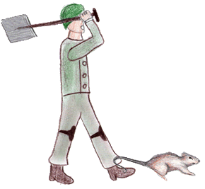 Schädlinge im Krieg - Wenn Tiere quälen und plagen - Wie schützen sich Soldaten gegen Ratten und Läuse Schädlinge im Krieg