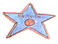étoile avec inscription Rintintin