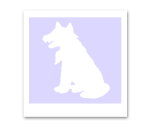  Wolf Profil