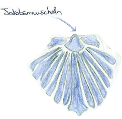 Jakobsmuschel