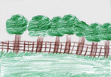 Ich hatte gute Lehrer, ihre Freude lag daran, dass wir aus unserem Elend heraus kommen Zeichnung, Wald